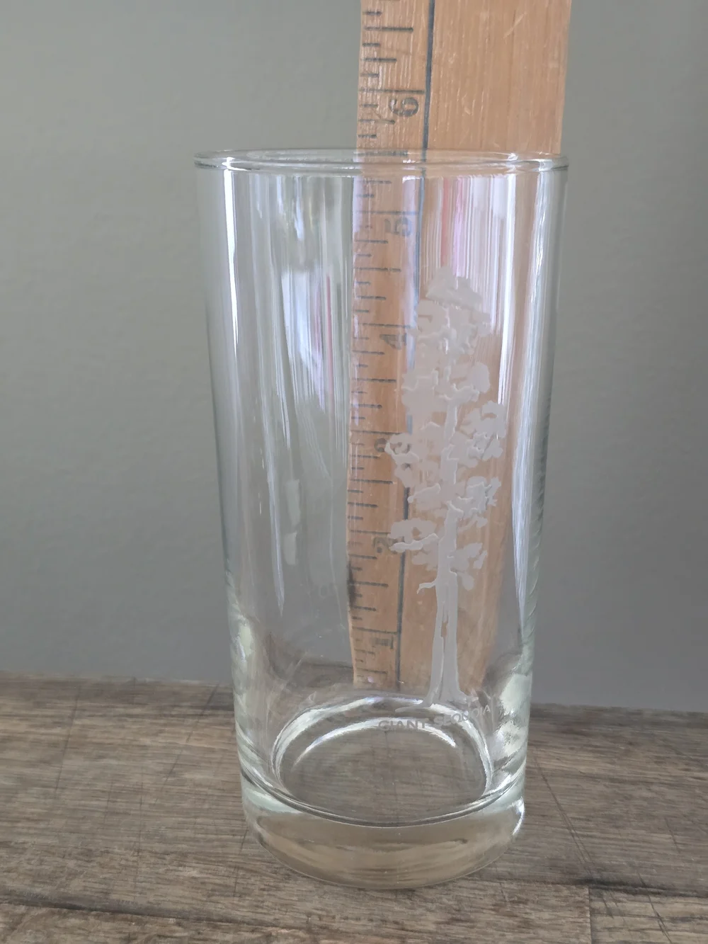 The Libbey Glass Co. Etched Tree Design Clear Glass Highball Tumblers Set of 6